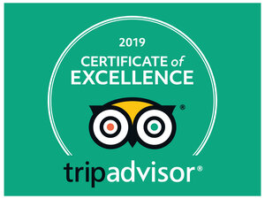trip advisor certificate of excellence
