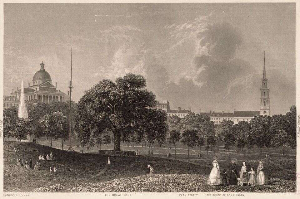 illustration of Boston Common on 19th Century postcard